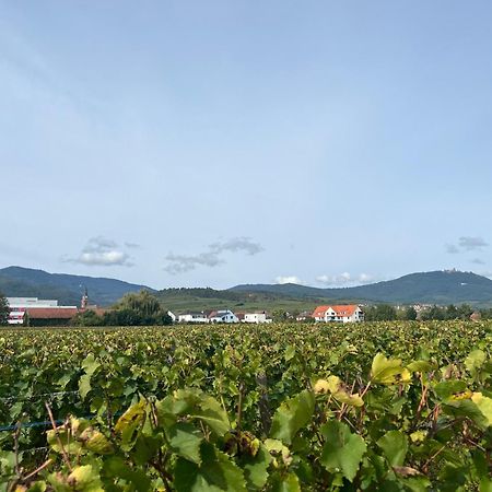 Oasis Tout Confort A Bergheim, Alsace المظهر الخارجي الصورة